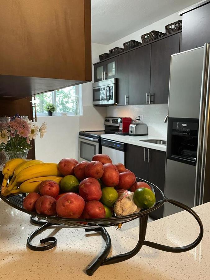 Brazilian Home Коръл Гейбълс Екстериор снимка
